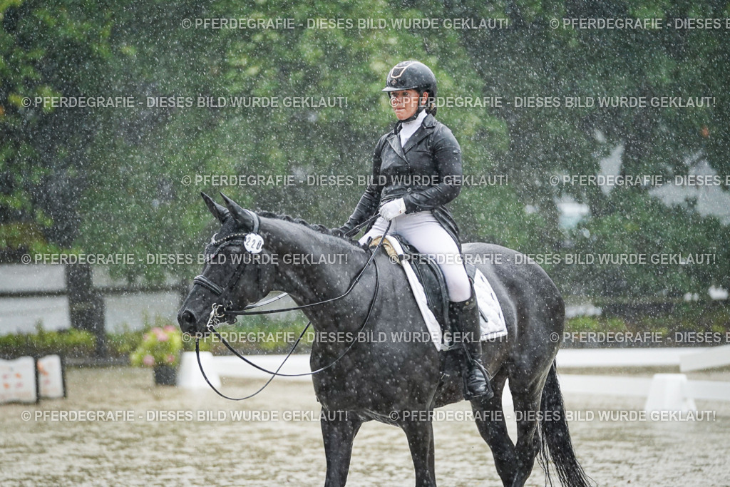 DSC08381 | Pferdegrafie