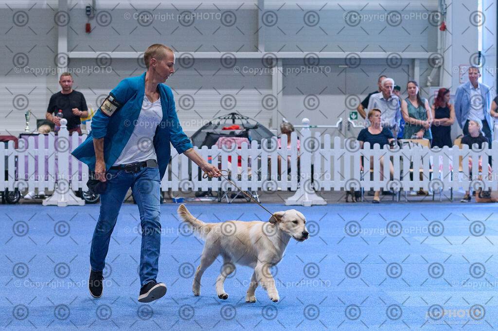 202406_ÖKV-IHA-Tulln24_DSC_3626 | proPHOTO - Realisiert mit Pictrs.com