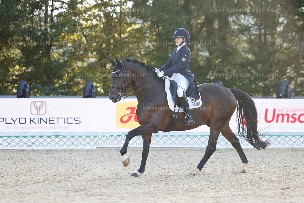 09_1-056-DRESSUR  S_  -StoibPH-5451 | working equitationturnier fotograf videograf stoibphotography marixx film working equitation deutschland reitsport turnierfotografie eventfotografie equestrian events