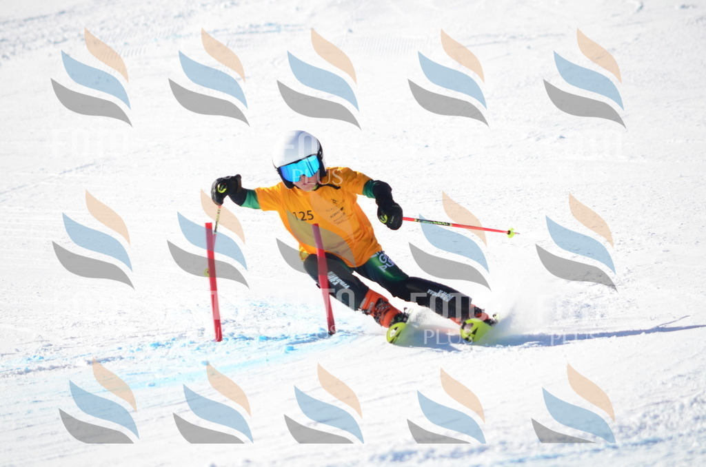 C6388 | holidayphoto