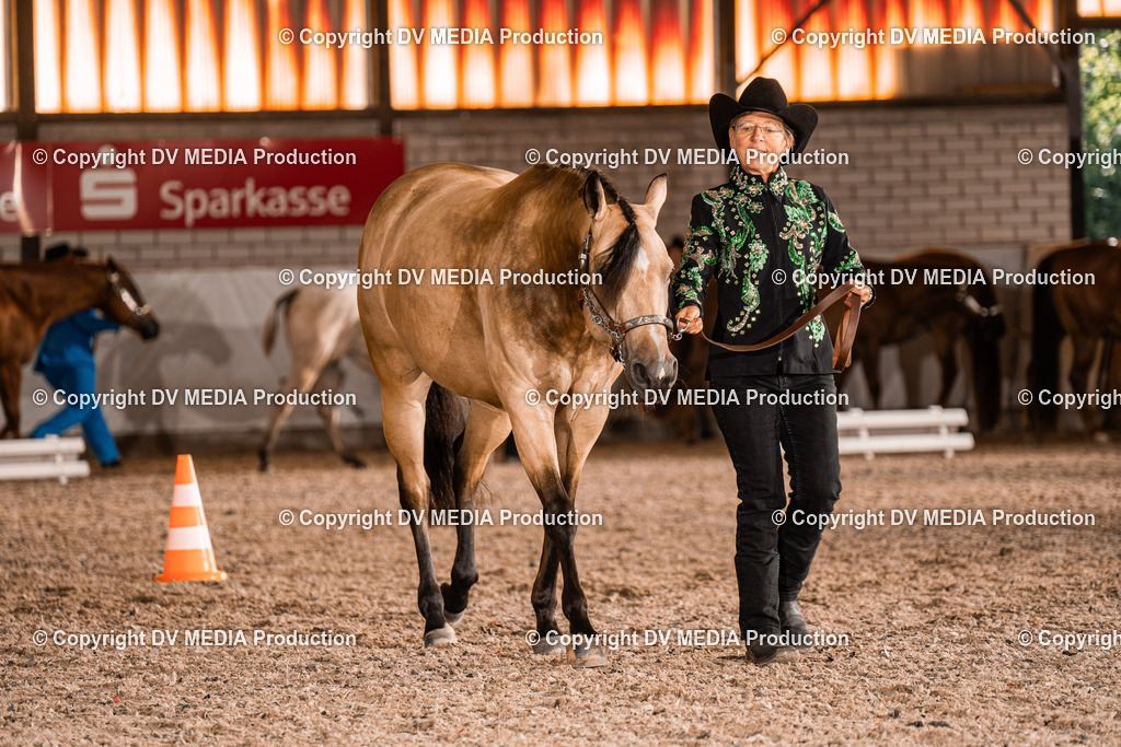 ZH100088 | dv-media-shop - Realisiert mit Pictrs.com