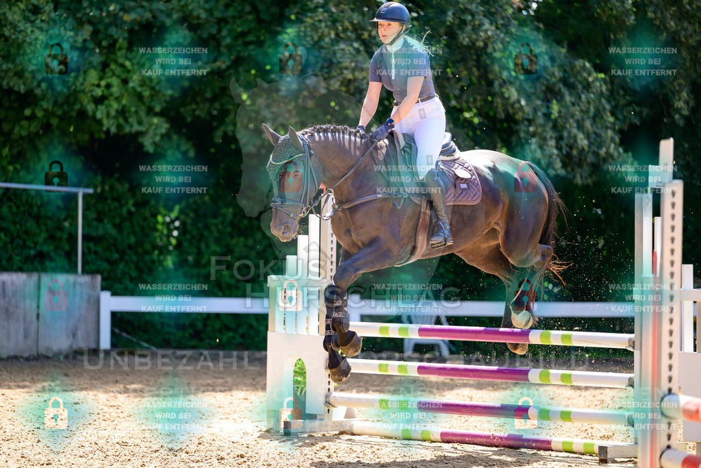 29082026-Giesenbach-Prfg10-0793 | Fokus Hufschlag Fotografie - Realisiert mit Pictrs.com