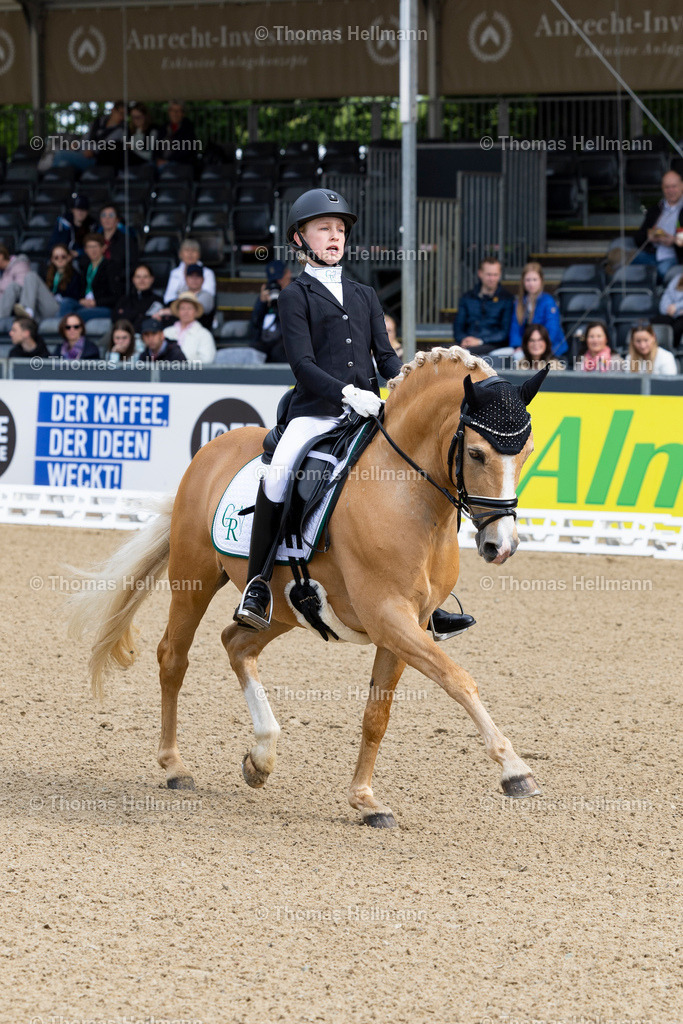 TH_649 NK Cyrill_ Mia Steinbusch_7924 | Deutsches Spring- und Dressur-Derby 2023 am 21.05.23 in Hamburg, Derby Platz Klein Flottbek, Thomas Hellmann, _Y7A8498