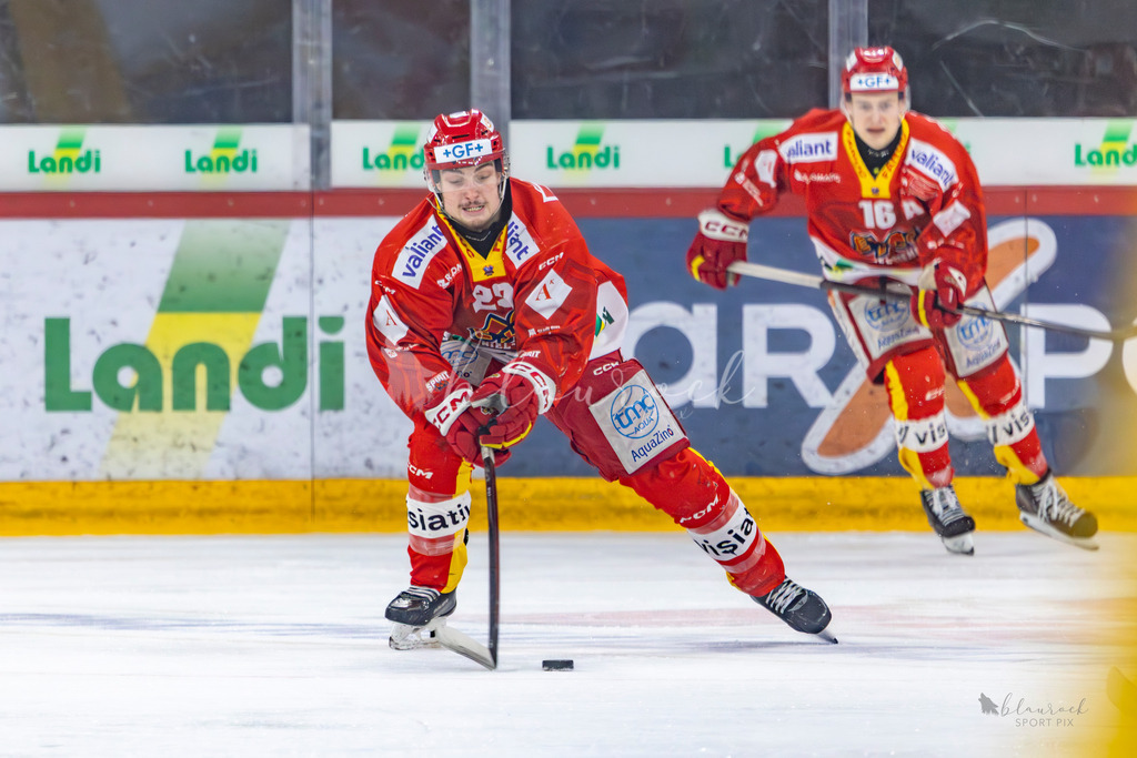 U21_EHCB vs HCD_wb20260308-9839 | Sportbilder, Sportfotograf, Hochzeits- und Eventfotografin, Flugshows, Portraits und Tiershooting, Aviation, Downhill, Nationalleague, Swissleague, International