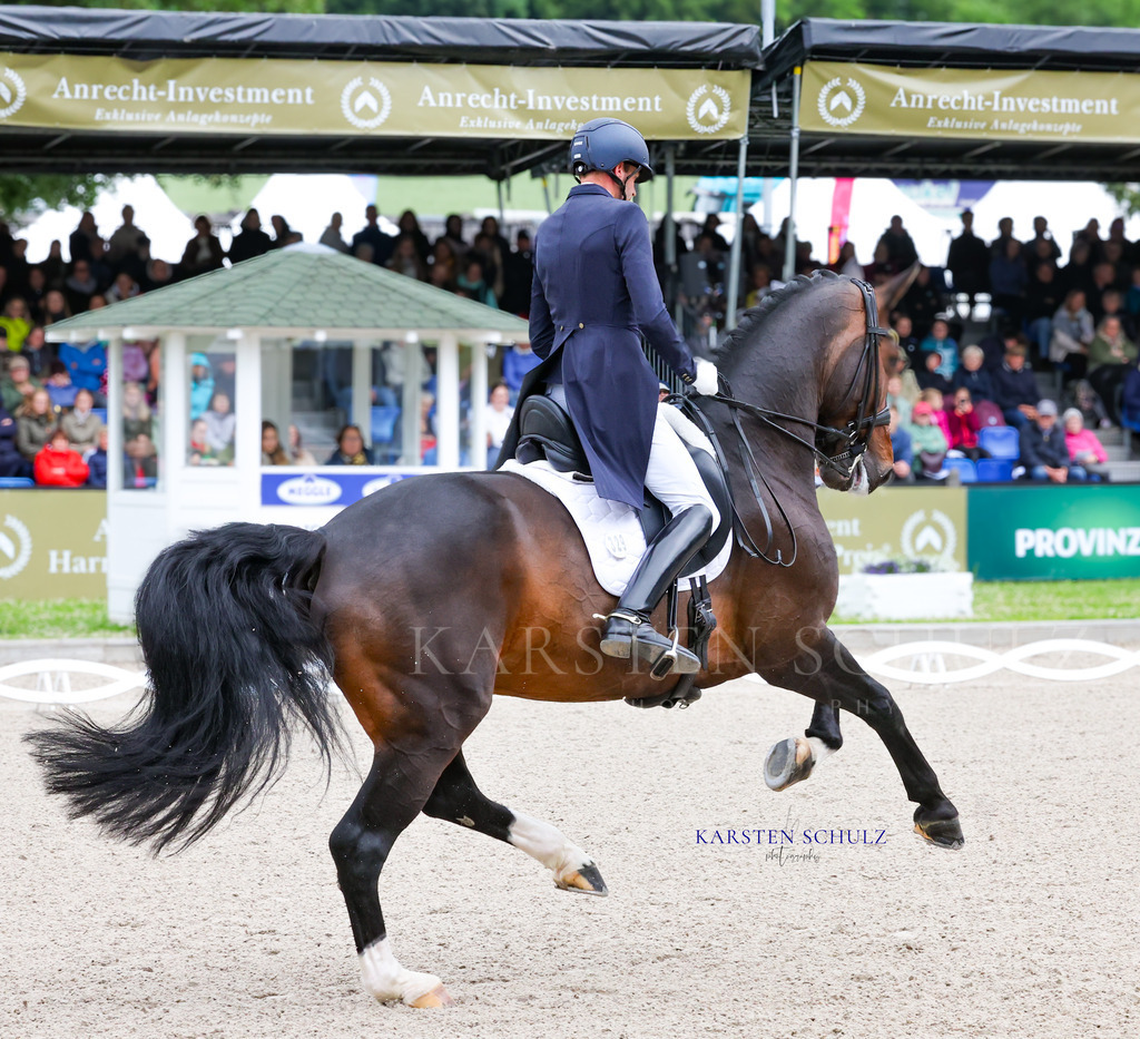 1B3A7598 | Reitsport Reiten