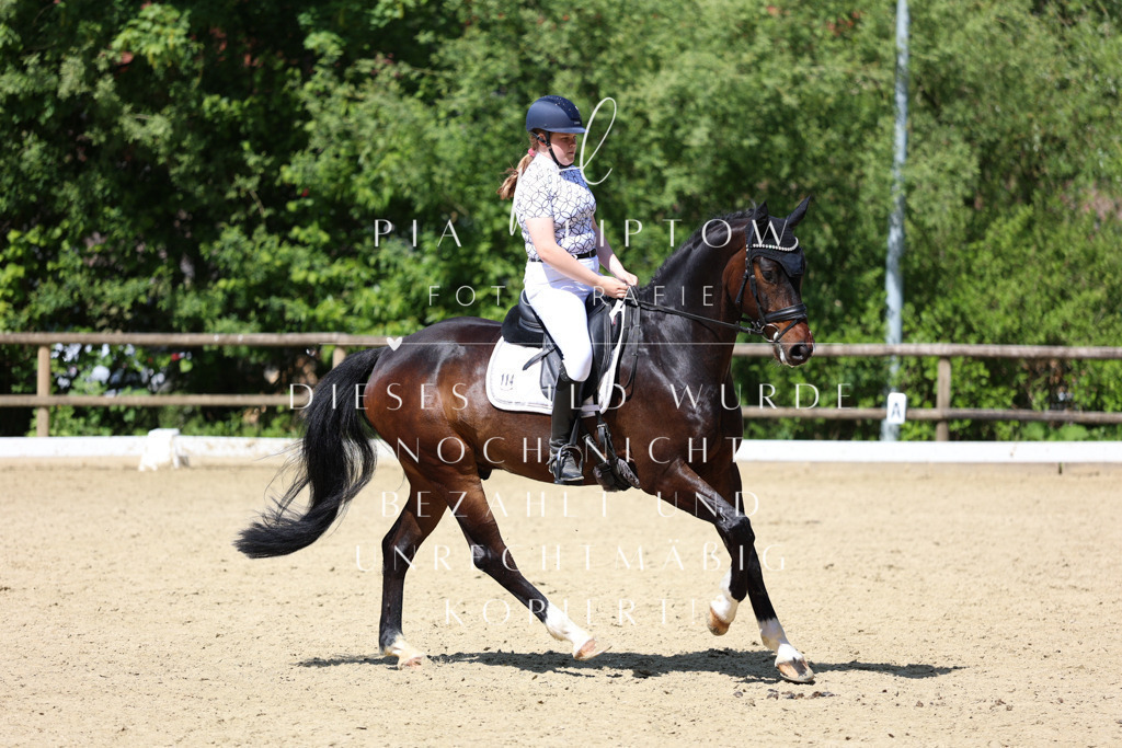 IMGS4013 | pl-fotografie