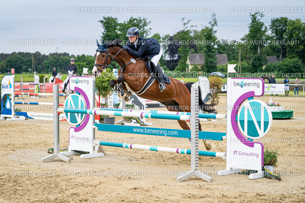 DSC05129 | Pferdegrafie