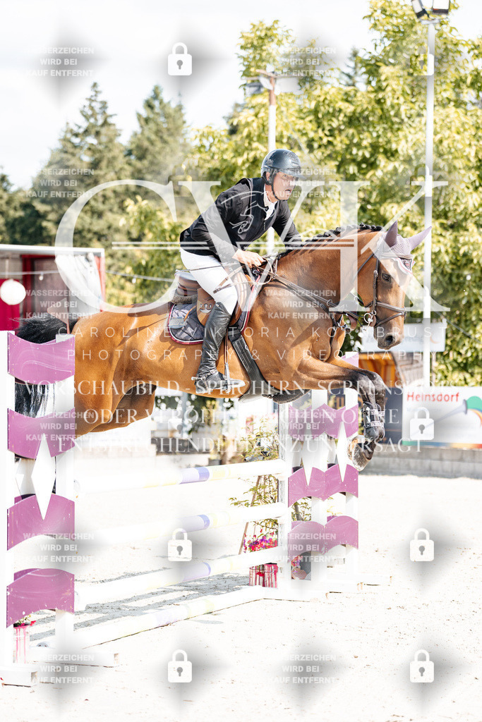 CK908687 | Turnierfotografie Pferdefotografie Trier Rheinland-Pfalz Pferdesport Reitsport Tierfotografie Sportfotografie Pferdevideo Pferdevideografie Equestrianvideography equestrianphotography  - Realisiert mit Pictrs.com
