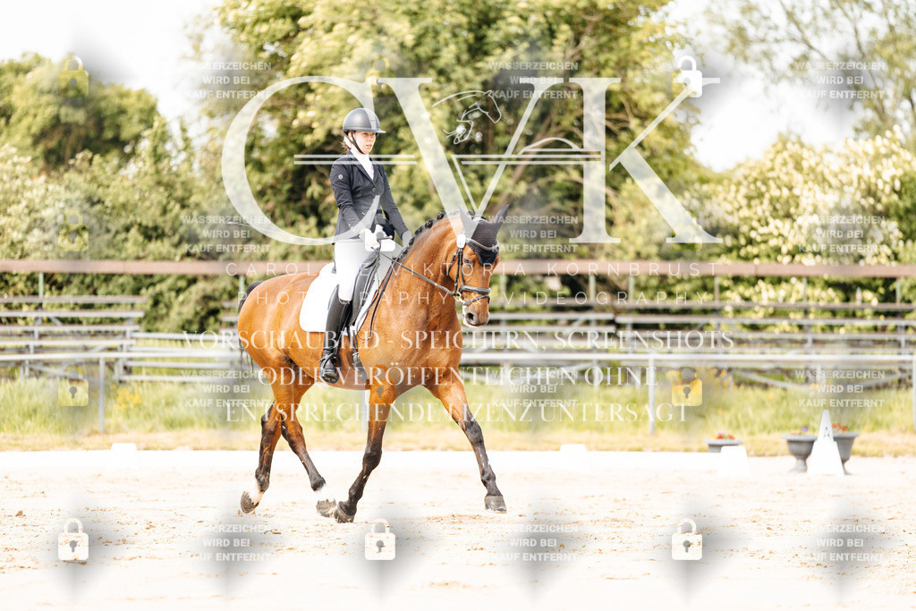 CK900935 | Turnierfotografie Pferdefotografie Trier Rheinland-Pfalz Pferdesport Reitsport Tierfotografie Sportfotografie Pferdevideo Pferdevideografie Equestrianvideography equestrianphotography  - Realisiert mit Pictrs.com