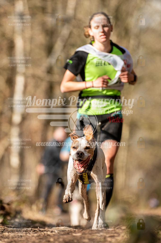 SPA_2023_SAM_CCK-196 | PayLife