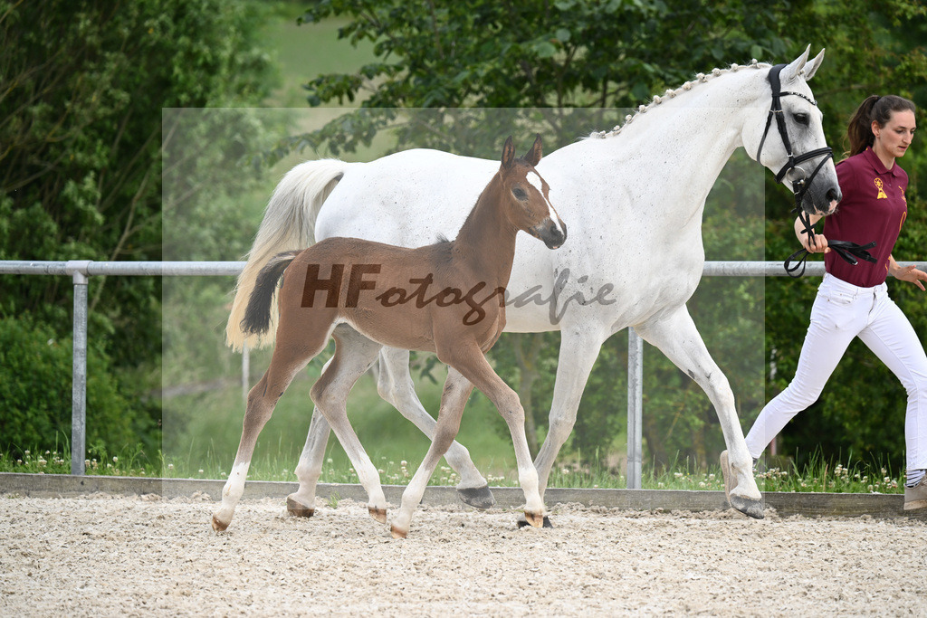 Diacord x Ciacomini_SF_Trukenbrod_20241147 | hf-fotografie - Realizzato con Pictrs.com