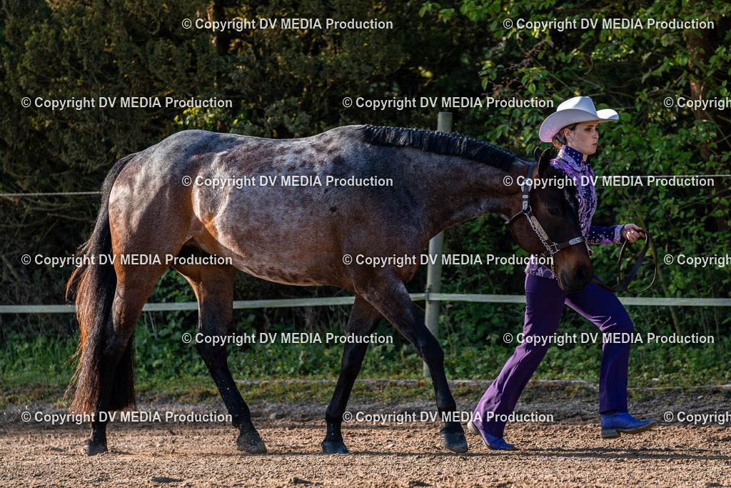 Balingen Tag 4-80 | dv-media-shop - Realisiert mit Pictrs.com