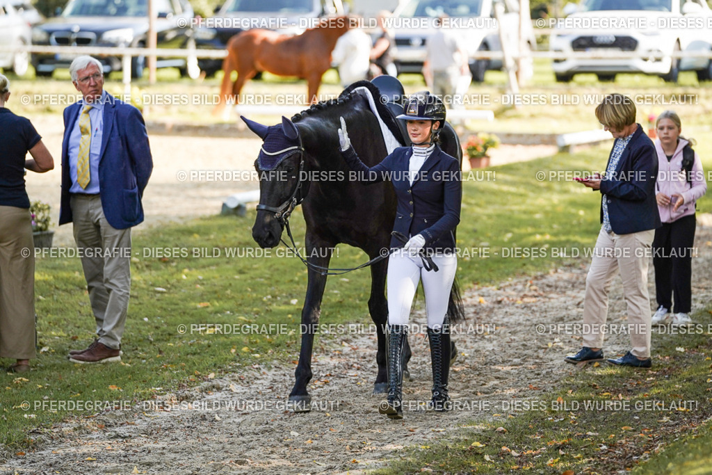 DSC06620 | Pferdegrafie