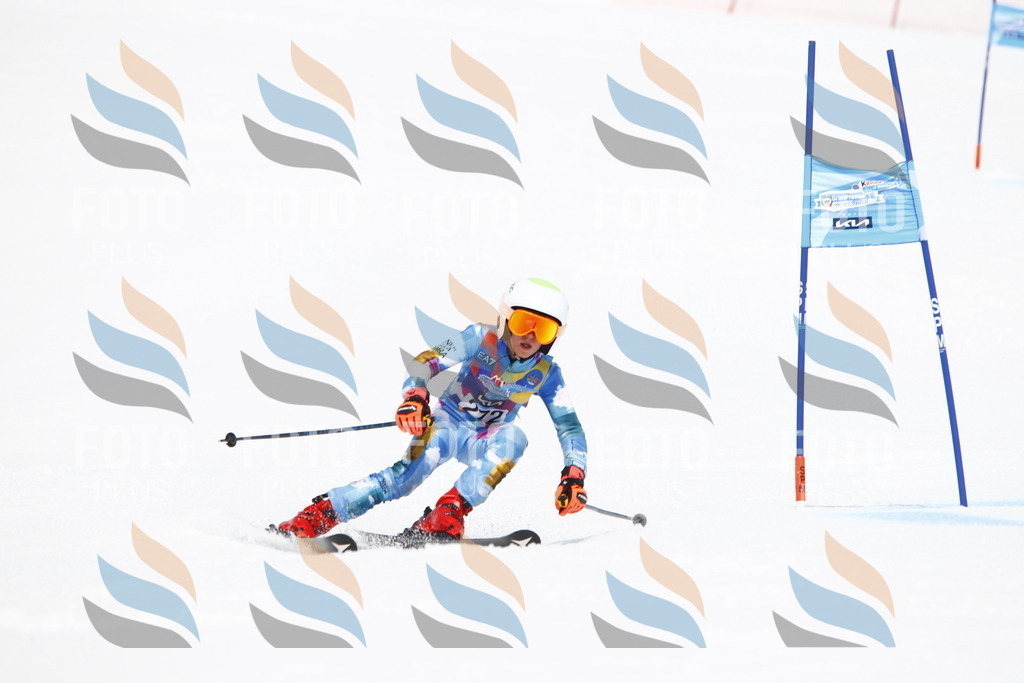 _U3G6808 | holidayphoto