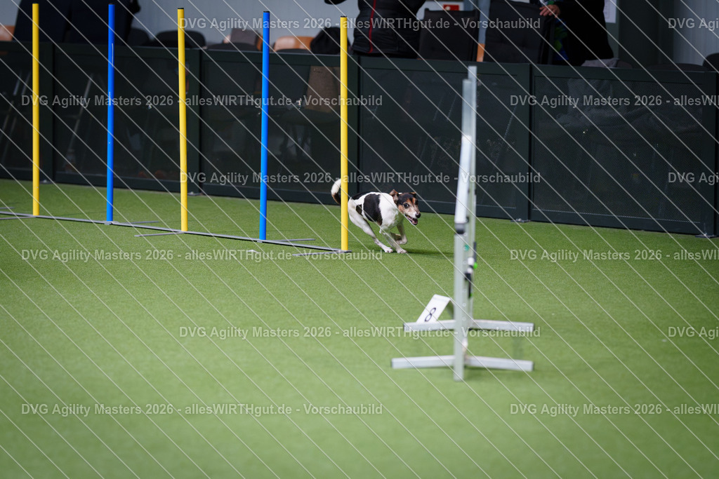 allesWIRTHgut_Tierfotografie-DVG_Agility_Masters_2026-12_30-7R508508 | Professionelle Tierfotografie in Mönchengladbach von Daniel Wirth (allesWIRTHgut). Liebevolle & natürliche Bilder von Hunden & Katzen für unvergessliche Erinnerungen.