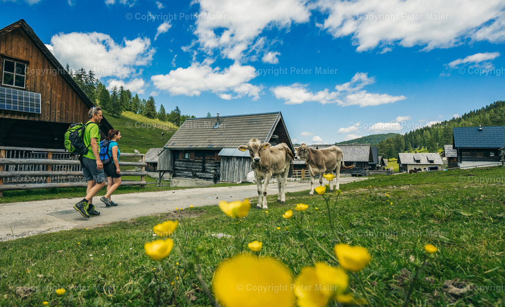 Wandern_Karnische_Milchstrasse_2020-213 | piet_flosse