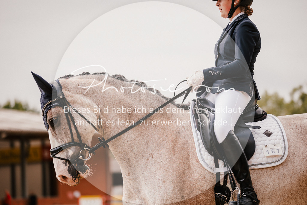 3I6A6150 | Stimmungsvolle Portraits und Reitsportfotografie im Ruhrgebiet und im Münsterland.

Pferdefotografie, Hundefotografie, Tierfotografie, Reportagen, Portraits von Tier und Mensch, Turnierfotografie in Bochum, Recklinghausen, Marl, Haltern am See, Dülmen.. - Realisiert mit Pictrs.com