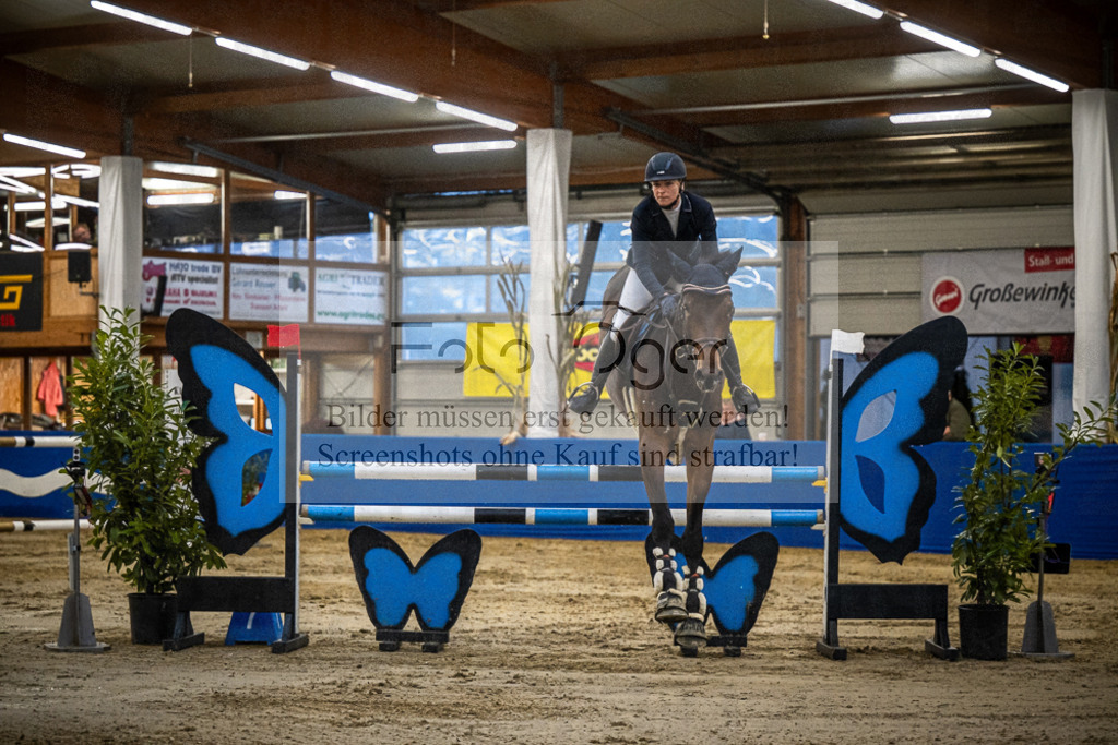 DOS_B936 | Entdecke hochwertige Reitturnierfotos von Foto Oger. Professionell, emotional und authentisch – jetzt Lieblingsmomente im Shop bestellen.Deutschlandweite Turnierfotografie. - Realisiert mit Pictrs.com