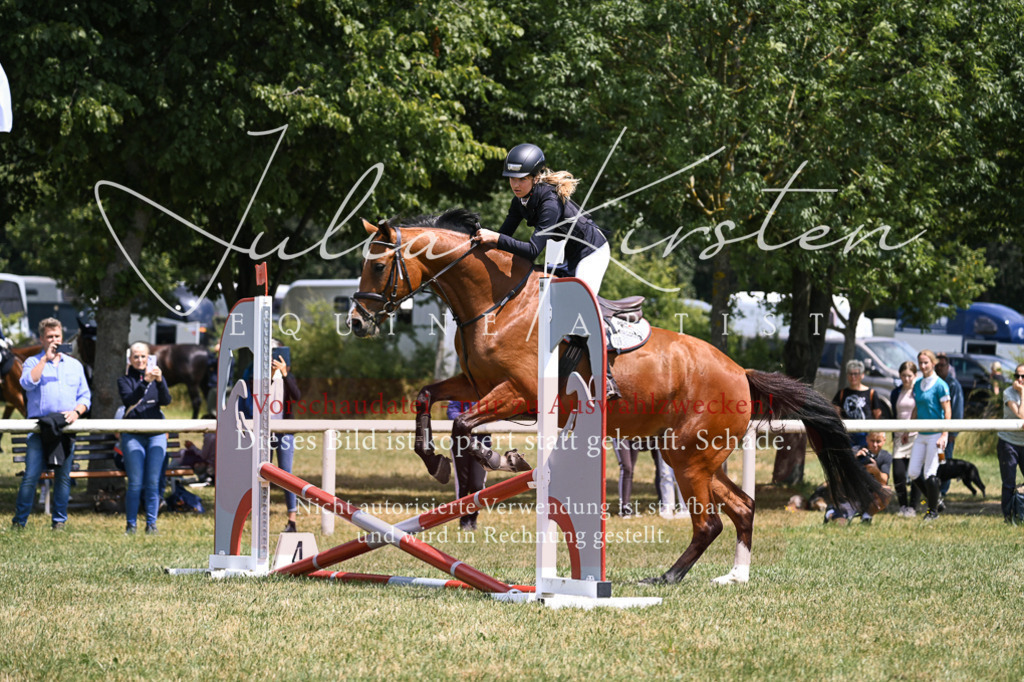 DSC_9286 | Pferde- und Turnierfotografie in Westsachsen. Pferdeportraits, Auftragszeichnungen und intuitive Kunst.