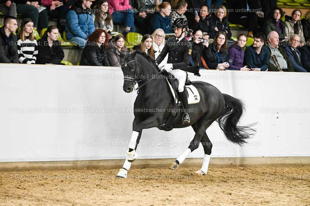 20260307_Hengstvorstellung-Marbach_0275 | equistock