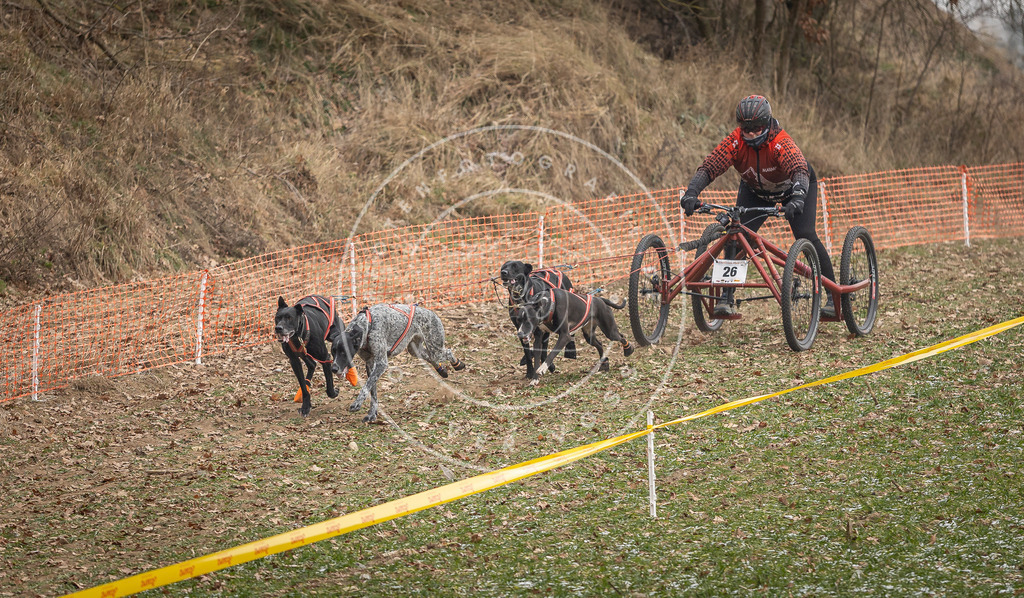 Pfotenfotografie_DV3A7891 | Hundefotografie, Tierfotograf, Pfotenfotografie, Fotoshooting Hund, Hunde Portrait, Hundesport, Hundeportraits, Heideshooting, Hunde, Sportfotograf, Hundefotograf, Turnierhundsport, THS,  - Realisiert mit Pictrs.com