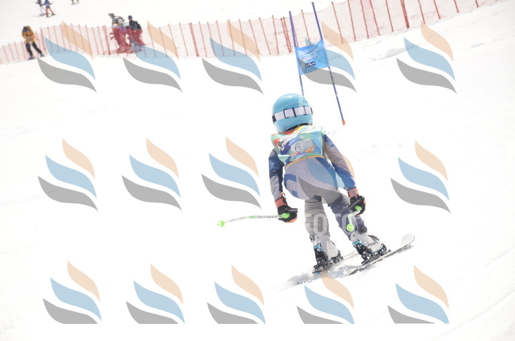 _ELE8524 | holidayphoto