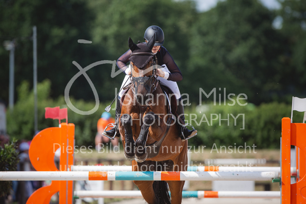 220612_LüPfSpTa_2Ph-M-Spr-623 | Lützower Pferdesporttage
Zwei-Phasen-Springprüfung Kl.M*
12.06.2022