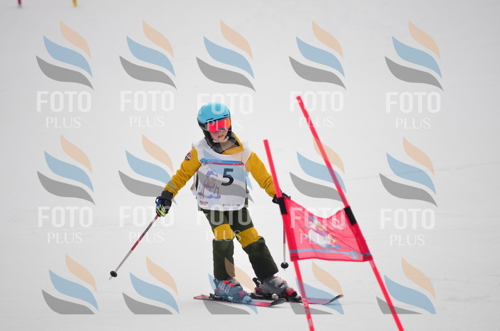 C0095 | holidayphoto