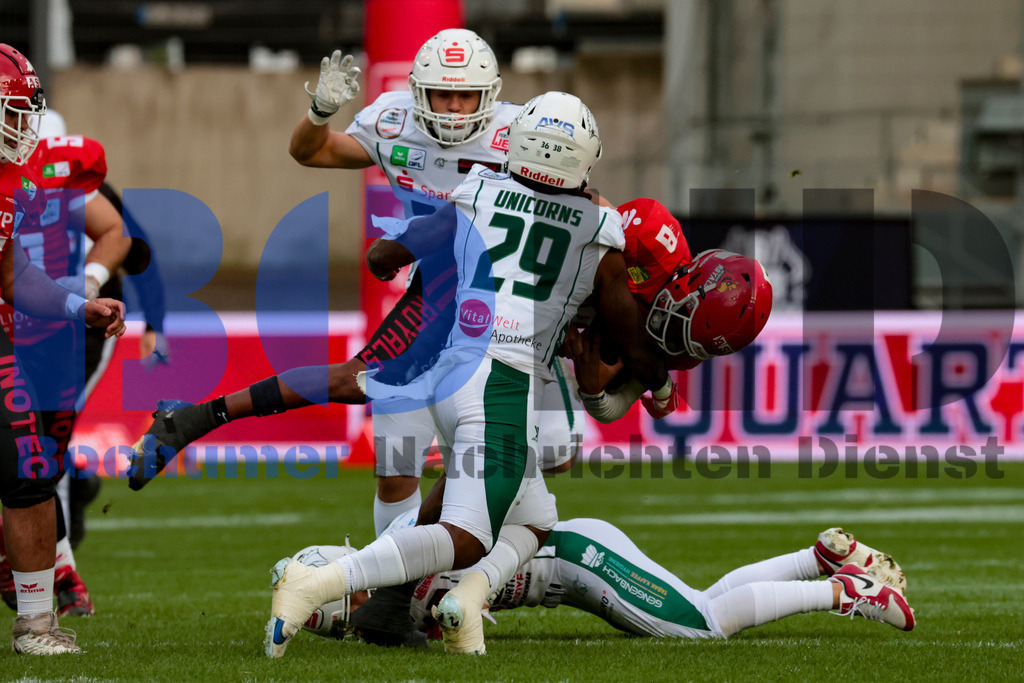  14.10.2023 - 
 | Sebastian Sendlak / Bochumer Nachrichtendienst (BOND) - GFL-Bowl 2023: Schwaebisch Hall Unicorns vs. Potsdam Royals - Realisiert mit Pictrs.com