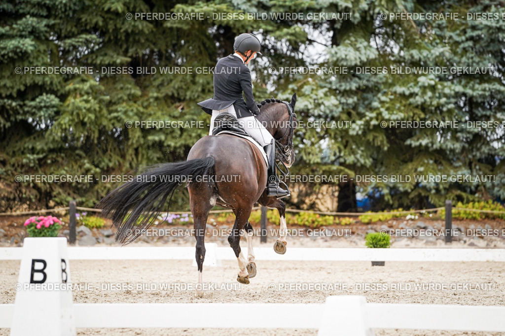 DSC07623 | Pferdegrafie