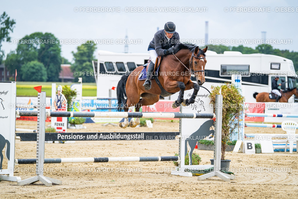 DSC09353 | Pferdegrafie