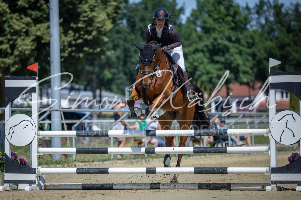 20260704-_3LI7875 | Tierfotografie Pferde, Hunde, Katzen, Haustiere.
Turnierfotografie Reitturniere, Reiten, Springreiten, Dressur in Hanau, dem Main-Kinzig-Kreis und dem Rhein-Main- Gebiet um Frankfurt