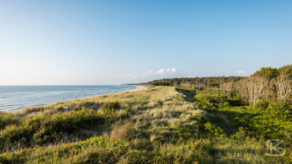 Weststrand Fischland-Darß-Zingst – Naturstrand mit Dünen und Ostsee | Der Weststrand auf Fischland-Darß-Zingst beeindruckt mit wilder Natur, Dünenlandschaften und weitem Blick über die Ostsee. Ein ursprünglicher Küstenabschnitt im Nationalpark Vorpommersche Boddenlandschaft. - Realisiert mit Pictrs.com