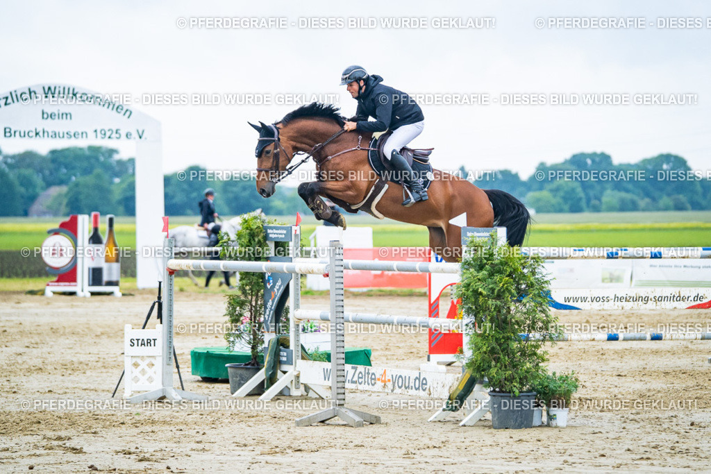 DSC00628 | Pferdegrafie