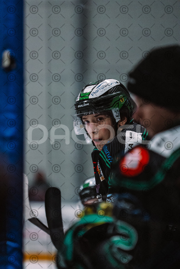 Alligators_vs_Riessersee_03_02_2026-27 | Höchstadt Alligators Fotogalerie: Eishockey-Action aus Franken. Professionelle Spielfotos, Portraits & Stadionbilder zum Download. Jetzt entdecken! - Realisiert mit Pictrs.com