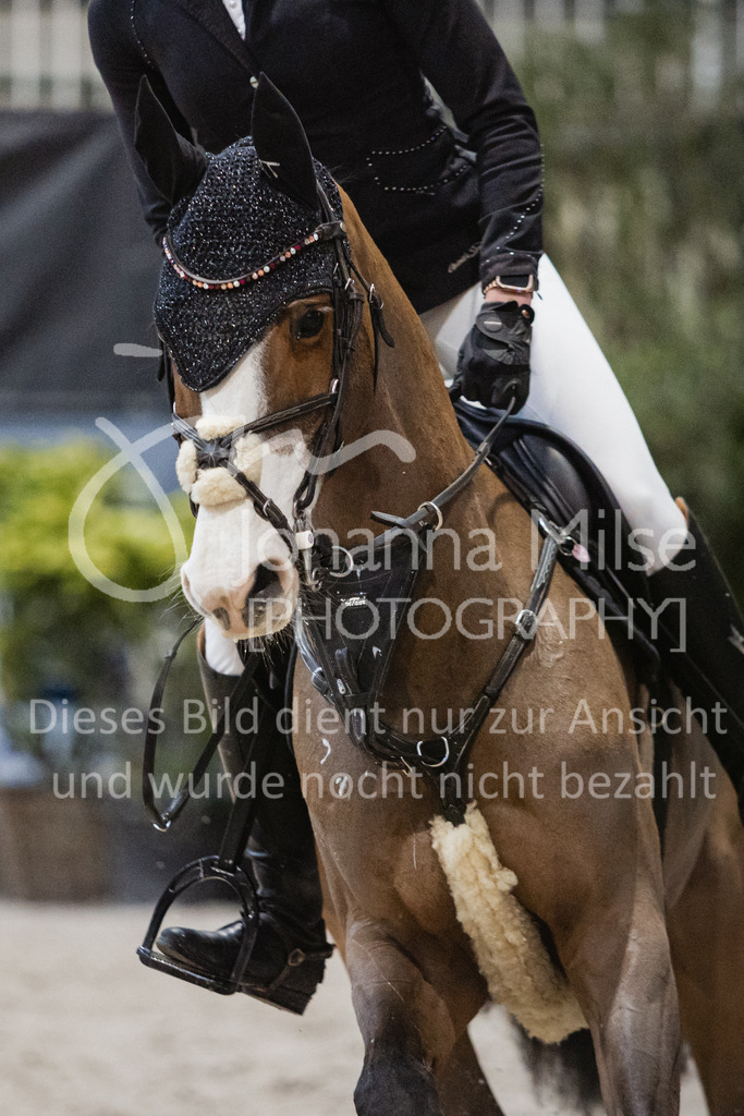 221217_Warstein_Stil-L-131 | Deine schönsten Turniermomente als professionelle Fotos! Entdecke hochwertige Pferdesport-Fotografie im Online-Shop. Jetzt Fotos finden & bestellen!