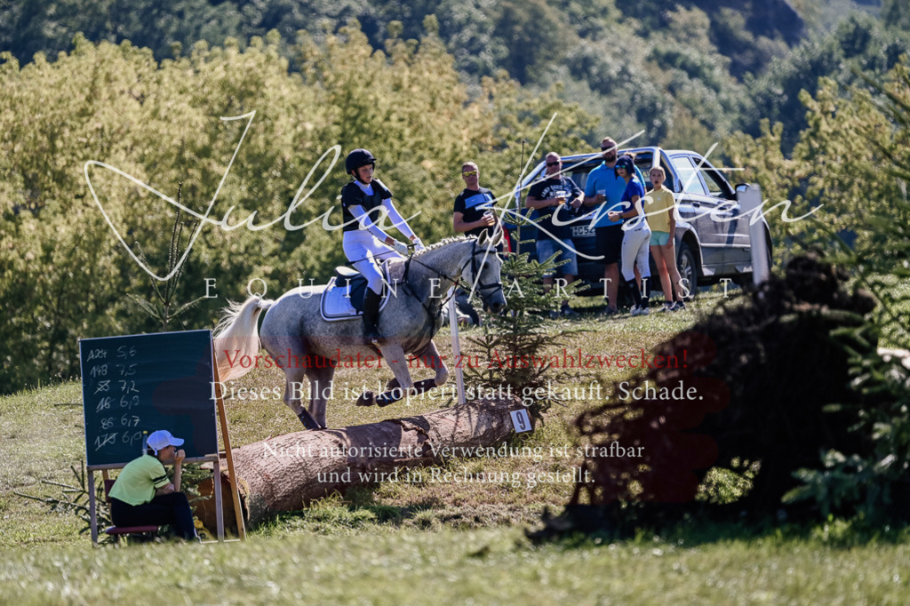 DSC_3003 | Pferde- und Turnierfotografie in Westsachsen. Pferdeportraits, Auftragszeichnungen und intuitive Kunst.
