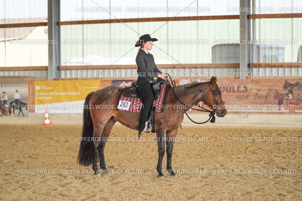 DSC09113 | Pferdegrafie