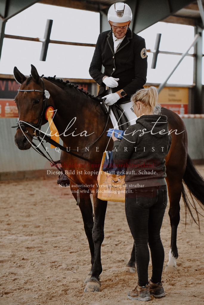 DSC_7597 | Pferde- und Turnierfotografie in Westsachsen. Pferdeportraits, Auftragszeichnungen und intuitive Kunst.