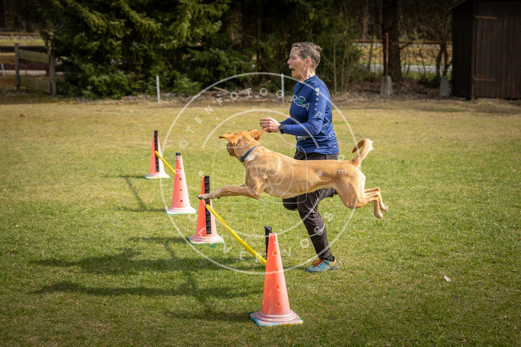 Pfotenfotografie_DV3A9284 | Hundefotografie, Tierfotograf, Pfotenfotografie, Fotoshooting Hund, Hunde Portrait, Hundesport, Hundeportraits, Heideshooting, Hunde, Sportfotograf, Hundefotograf, Turnierhundsport, THS,  - Realisiert mit Pictrs.com