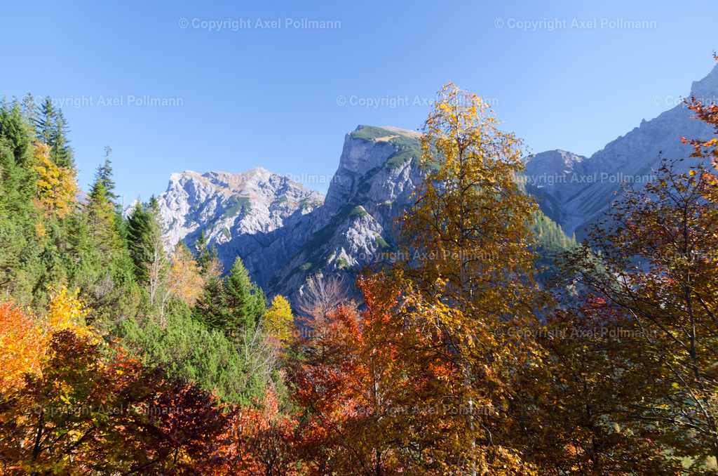 11-IMGP7441_v1 | fotografiert von Axel PollmannLeonhardi Wallfahrt Benediktbeuern und Murnau, Fronleichnam, Fasching, Landschaft im Loisachtal und Benediktbeuern  - Realisiert mit Pictrs.com