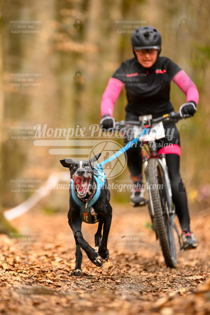 MompixPhotography_Habay2025_SA_Bike-114 | PayLife