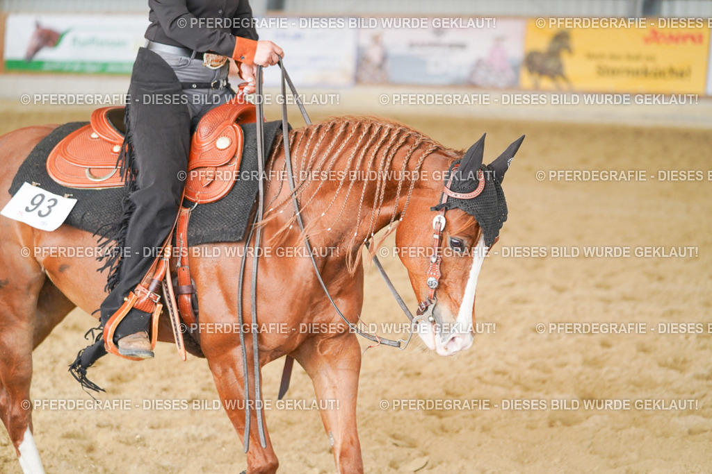 DSC02032 | Pferdegrafie