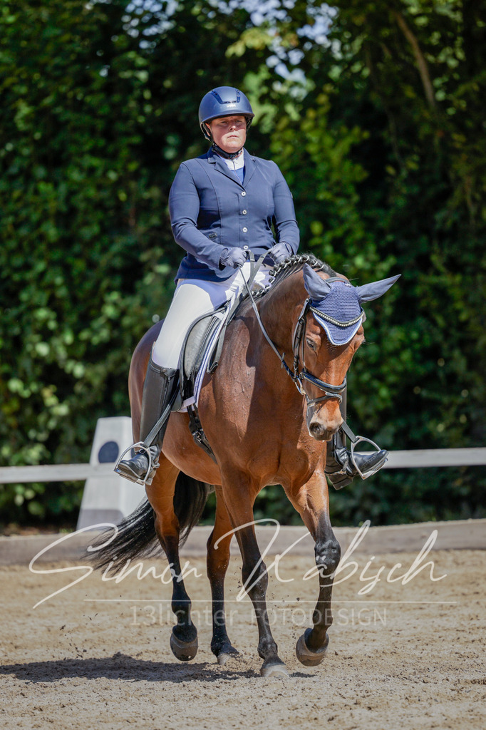 20250906-_3LI4802 | Tierfotografie Pferde, Hunde, Katzen, Haustiere.
Turnierfotografie Reitturniere, Reiten, Springreiten, Dressur in Hanau, dem Main-Kinzig-Kreis und dem Rhein-Main- Gebiet um Frankfurt
