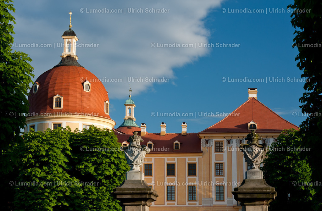 100491-3385 - Moritzburg bei Dresden | Stockfoto und Bilderpool mit Bildmaterial aus Deutschland, dem Harz, Halberstadt, Quedlinburg, Wernigerode und weltweit. Qualitativ hochwertige und professionelle Fotos anschauen und kaufen. - Realisiert mit Pictrs.com