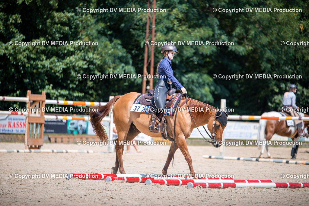 ZS1_1297 | dv-media-shop - Realisiert mit Pictrs.com