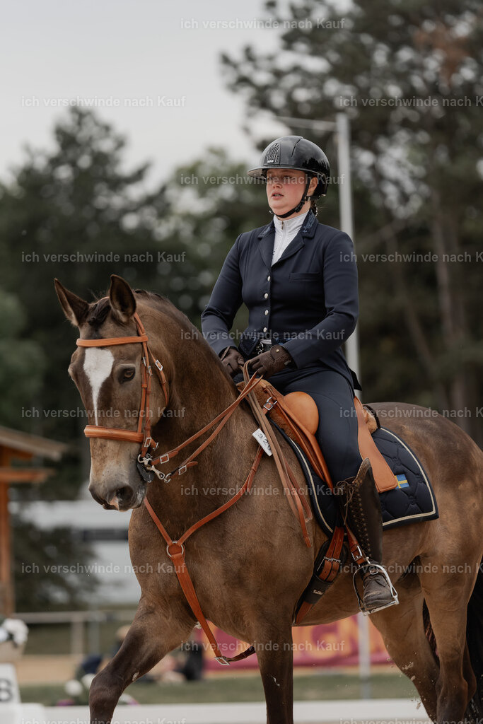 WE_DR_Stoib_329_PI2025_853 | Pferd International München 2025