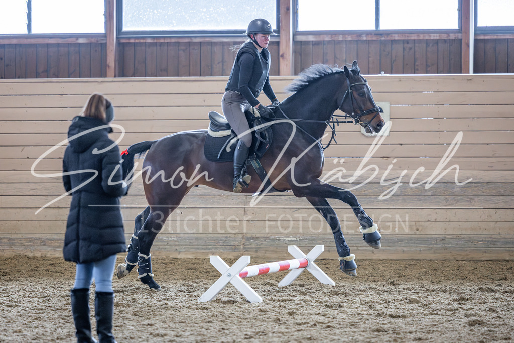 20260221-_3LI0320 | Tierfotografie Pferde, Hunde, Katzen, Haustiere.
Turnierfotografie Reitturniere, Reiten, Springreiten, Dressur in Hanau, dem Main-Kinzig-Kreis und dem Rhein-Main- Gebiet um Frankfurt