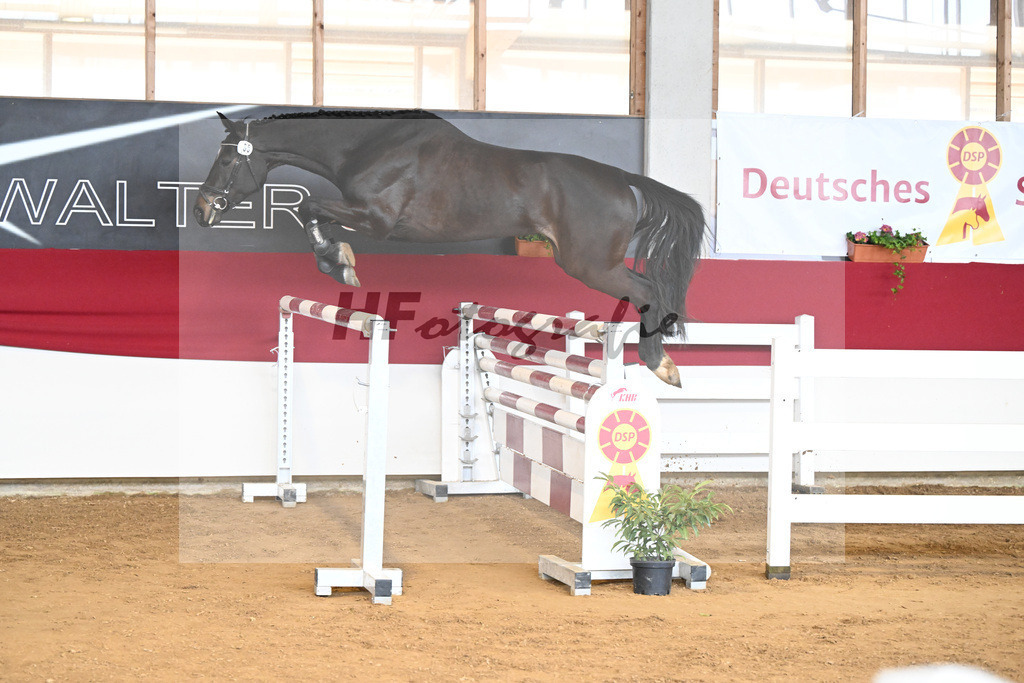 Kat-Nr. 55 Celina v. Chubakko_Ostermann_7251133 | hf-fotografie - Realizzato con Pictrs.com