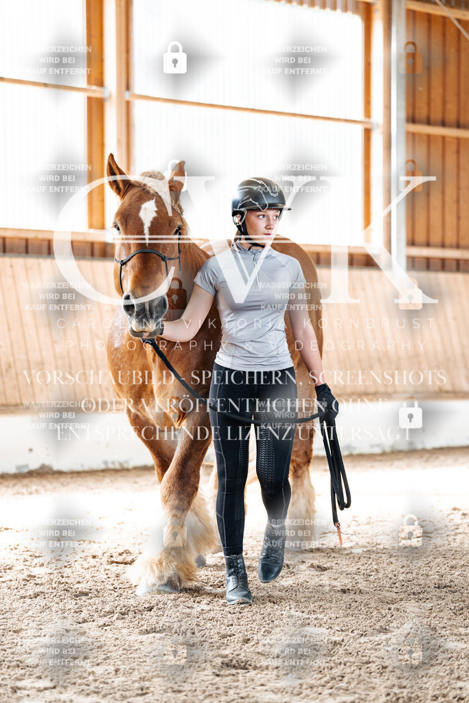 CK905448 | Turnierfotografie Pferdefotografie Trier Rheinland-Pfalz Pferdesport Reitsport Tierfotografie Sportfotografie Pferdevideo Pferdevideografie Equestrianvideography equestrianphotography  - Realisiert mit Pictrs.com